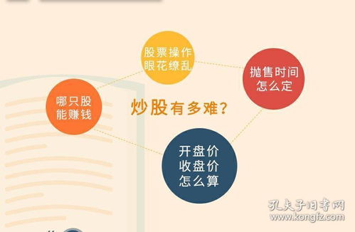 股票入門基礎(chǔ)知識(shí)百度小說
