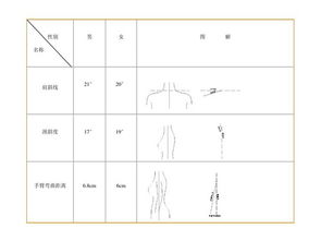 服裝結構設計基礎基礎知識教案