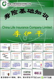 軟筆書法的基礎(chǔ)知識,小學(xué)漢語拼音基礎(chǔ)知識,小學(xué)英語語法基礎(chǔ)知識大全