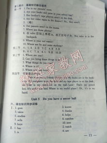 七級(jí)基礎(chǔ)知識(shí)測(cè)試英語(yǔ)答案