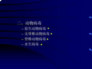 病毒學(xué)基礎(chǔ)知識講解