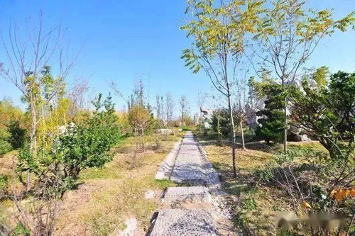 園林綠化基礎(chǔ)知識(shí)試題及答案,園林綠化基礎(chǔ)知識(shí)教材,園林綠化基礎(chǔ)知識(shí)