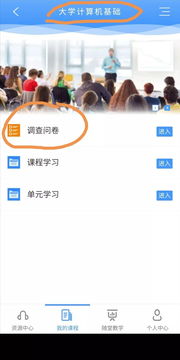 對計算機基礎(chǔ)知識的問卷調(diào)查