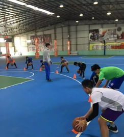 電腦操作基礎(chǔ)知識培訓(xùn),液壓基礎(chǔ)知識培訓(xùn),藥店基礎(chǔ)知識培訓(xùn)