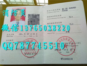 消防員,建構(gòu),基礎(chǔ)知識(shí)