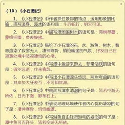 如何整理初中語文基礎(chǔ)知識
