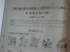 五級,基礎(chǔ)知識,試卷,答案