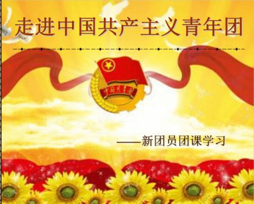 高中基礎(chǔ)團(tuán)務(wù)知識(shí)團(tuán)課