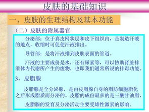 基礎(chǔ)知識,皮膚,最新
