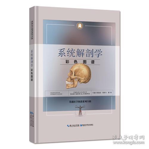 醫(yī)學(xué)知識,解剖學(xué),基礎(chǔ)