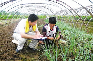 農(nóng)村基礎(chǔ)知識大學生村官
