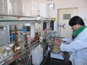 化驗室水泥基礎(chǔ)知識競賽