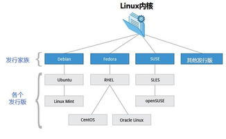 linux部署基礎(chǔ)知識(shí)