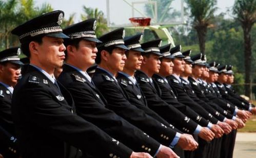 獄警考司法基礎(chǔ)知識嗎