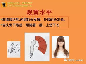 理發(fā)基礎(chǔ)知識(shí)大全