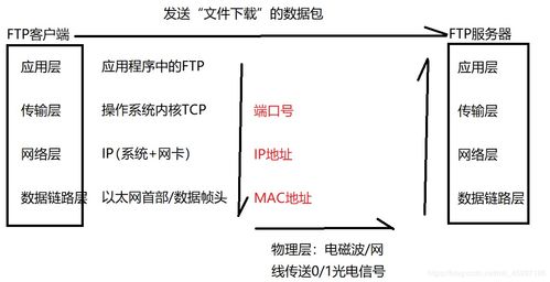 網(wǎng)絡(luò)基礎(chǔ)知識有那幾塊
