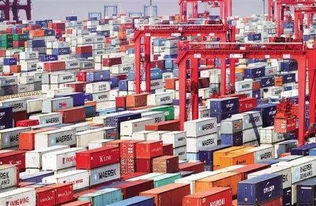 自由貿(mào)易區(qū)(港)基礎(chǔ)知識(shí)