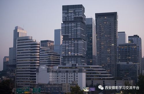 建筑科豪大夏基礎(chǔ)知識