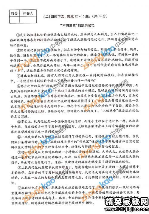 中考語文基礎(chǔ)知識匯總,中考語文基礎(chǔ)知識強(qiáng)化訓(xùn)練,中考語文基礎(chǔ)知識整理