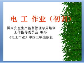 電工作業(yè)安全基礎知識ppt課件