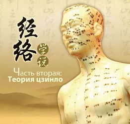 十二經(jīng)絡的基礎知識和調(diào)理