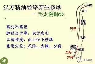 中醫(yī)的最基礎(chǔ)知識是