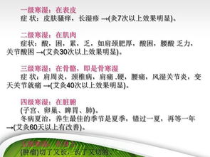 中藥基礎(chǔ)知識培訓(xùn)課件