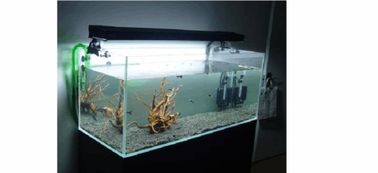 魚缸基礎(chǔ)知識(shí)