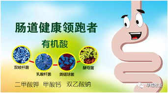 酸化劑基礎(chǔ)知識(shí)