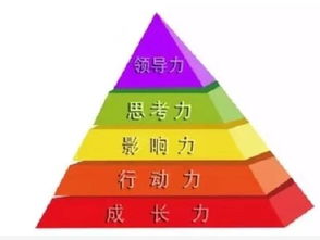 青少基礎(chǔ)理論知識