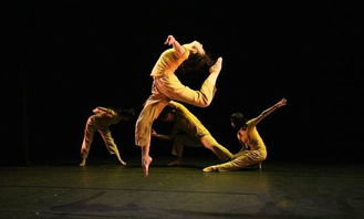 舞蹈基礎(chǔ)知識(shí)理論,舞蹈基礎(chǔ)知識(shí)試題,幼兒舞蹈基礎(chǔ)知識(shí)