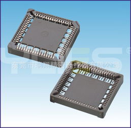 plcc中國(guó)人民保險(xiǎn)的基礎(chǔ)知識(shí)