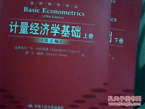 計量經(jīng)濟(jì)學(xué)基礎(chǔ)知識要點