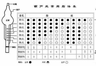 初學者葫蘆絲樂理基礎(chǔ)知識