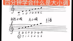 基礎(chǔ)樂理知識分課