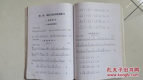 二胡基礎(chǔ)知識(shí)教學(xué)
