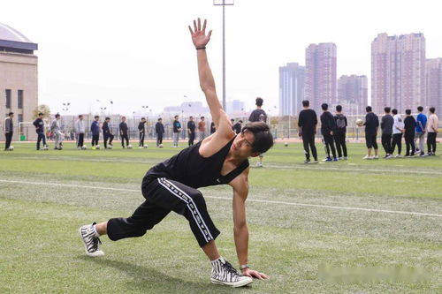 高校體育教師考試專業(yè)基礎(chǔ)知識(shí)