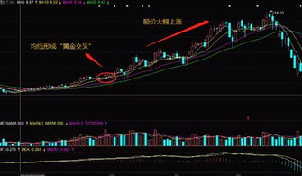股票常用基礎知識