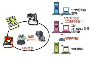 網(wǎng)絡(luò)基礎(chǔ)知識(shí)需要掌握什么協(xié)議