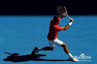 新手網(wǎng)球入門基礎(chǔ)知識