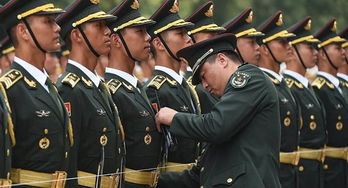 當兵的基礎軍事知識