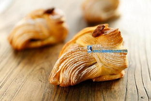 面包基礎(chǔ)知識(shí)txt