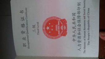 人力資源證書基礎(chǔ)法律知識