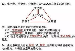 體育課教訓(xùn)目的要求教材重難點基礎(chǔ)知識訓(xùn)練
