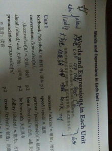 英語,基礎(chǔ)知識