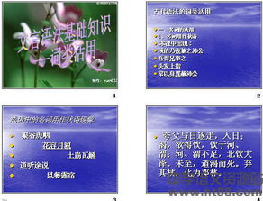 文言文語法基礎(chǔ)知識ppt