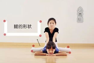 舞蹈技巧基礎(chǔ)知識(shí)