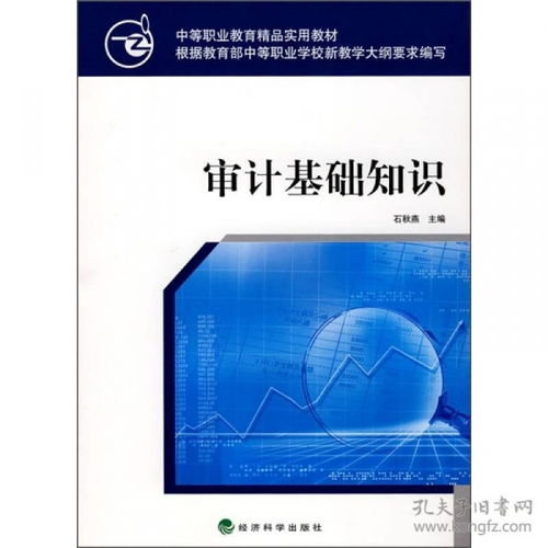 2017審計基礎(chǔ)知識匯總