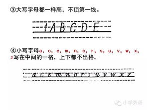 縮寫,基礎(chǔ)知識,字母