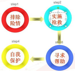 安全急救基礎(chǔ)知識(shí)培訓(xùn)
